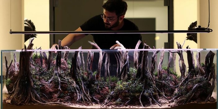 Su Altının Güzelliğini "canlı Resimlerle" Akvaryuma Taşıyor