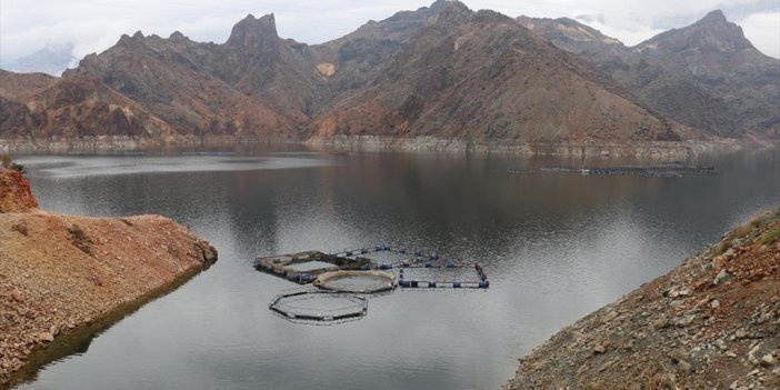 Erzurum'daki Tesiste Devlet Desteğiyle Üretilen 360 Ton Balığın Çoğu İhraç Ediliyor