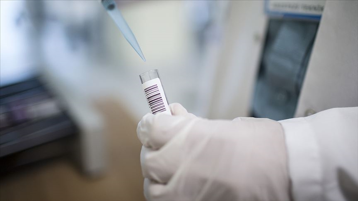 Dermatoloji Hastalarının Yüzde 20'sini Uyuz Vakaları Oluşturuyor