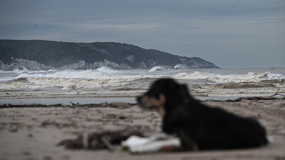 Fırtına Ve Selin Etkili Olduğu Şile'de Hasar Tespit Ve Temizlik Çalışmaları Yapılıyor
