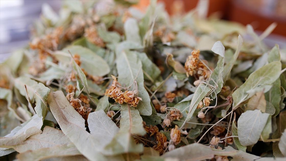 Kış Çayları Açıkta Satılmamalı