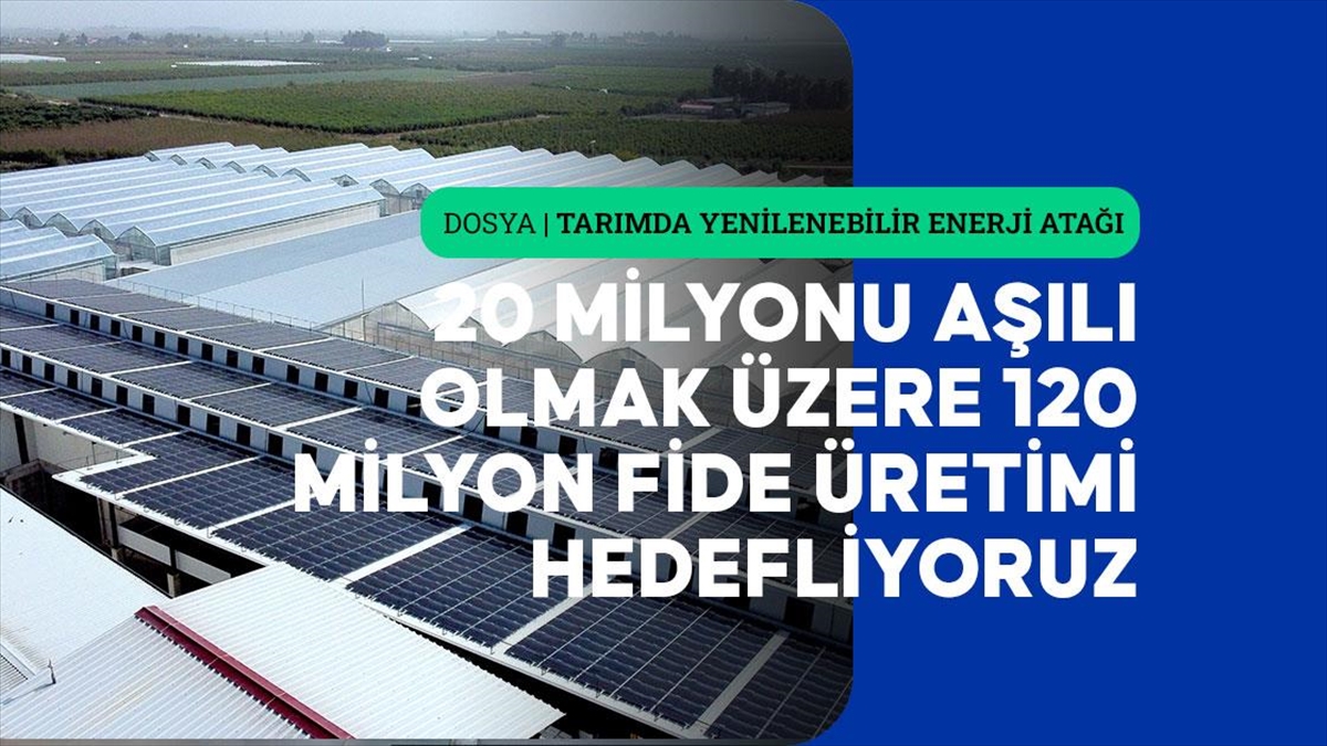 Fide Üretilen Tesise Kurulan Ges, Enerji Giderini Yüzde 60 Azalttı