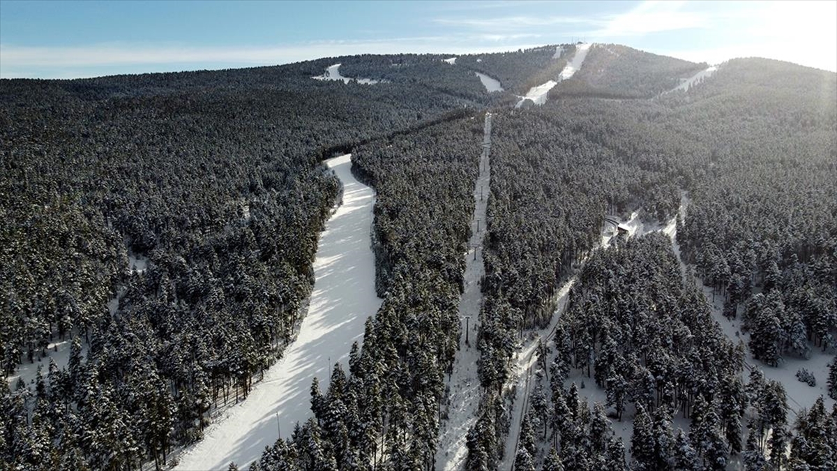 Kars'ta Karla Kaplanan Sarıçam Ormanları Havadan Görüntülendi
