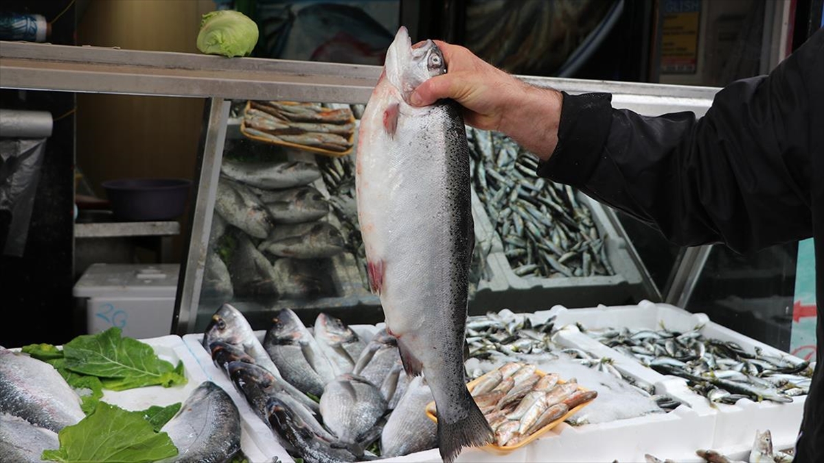 Doğu Karadeniz'den 10 Ayda 133,2 Milyon Dolarlık Türk Somonu İhraç Edildi