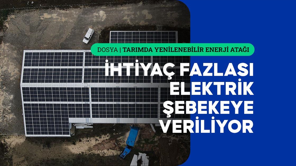 Kastamonu'da Sarımsak Fabrikasının Enerjisi Güneşten Karşılanıyor