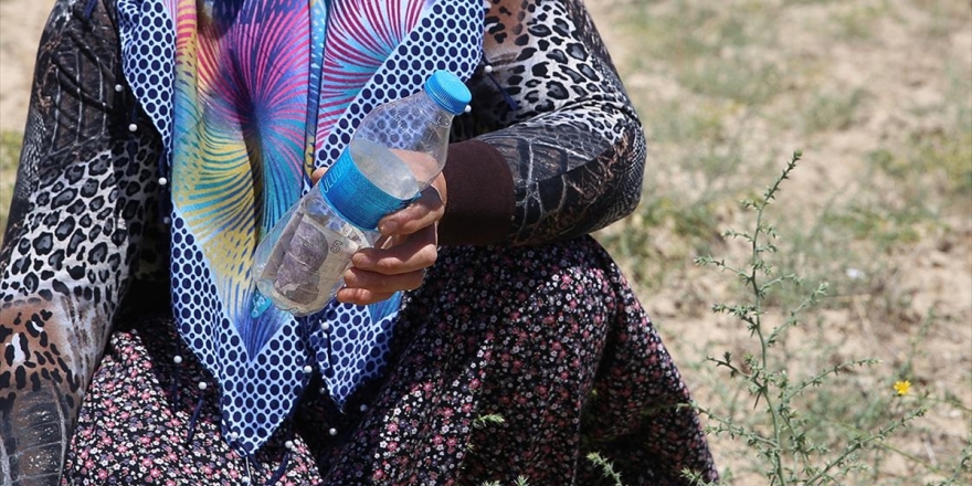 Tarladan Nohut Aldı, Parasını Pet Şişe İçinde Bıraktı