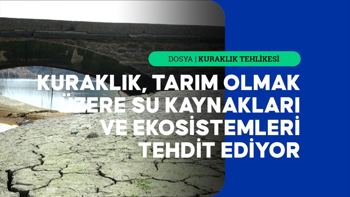 Avrupa'da Derinleşen Kuraklık Birçok Sektörü Tehdit Ediyor