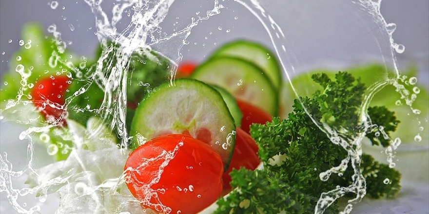 Bitki Odaklı Beslenme Küresel Isınmada Kilit Rol Oynuyor