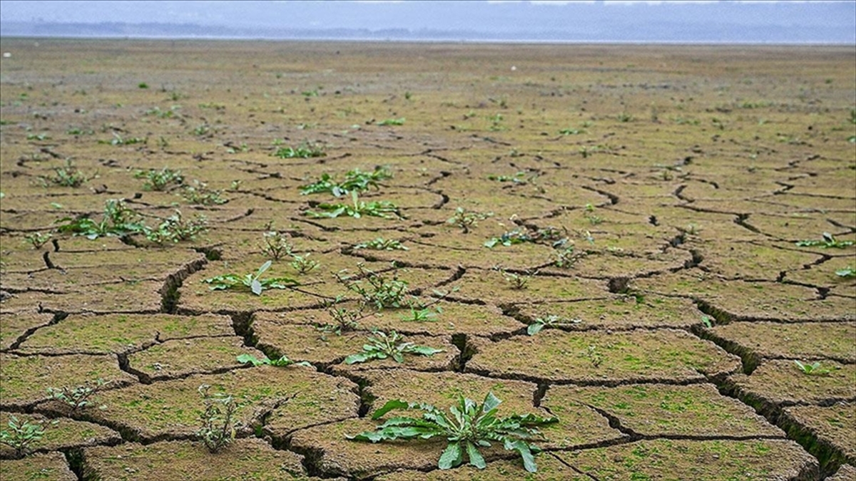 İklim Hedeflerine Ulaşmanın Maliyeti Artıyor