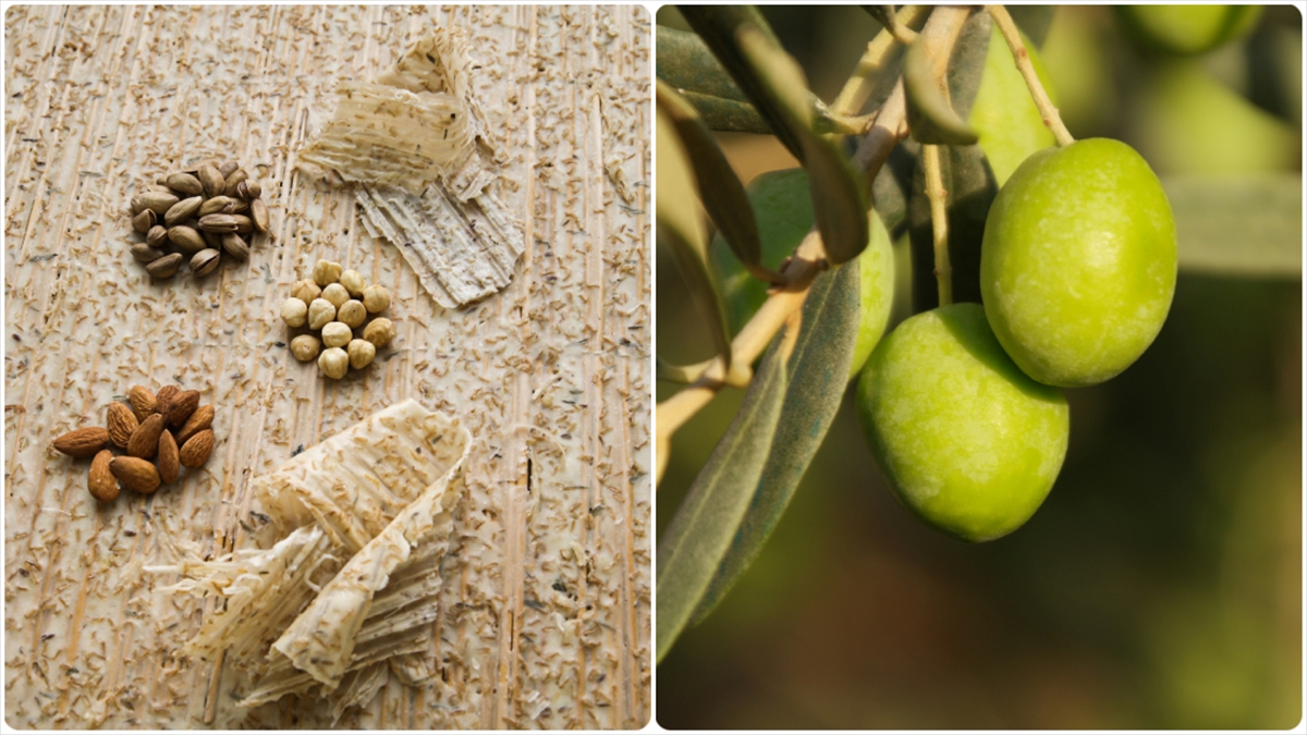 Kahramanmaraş Tarhanası Ve Edremit Körfezi Yeşil Çizik Zeytinine Ab Tescili