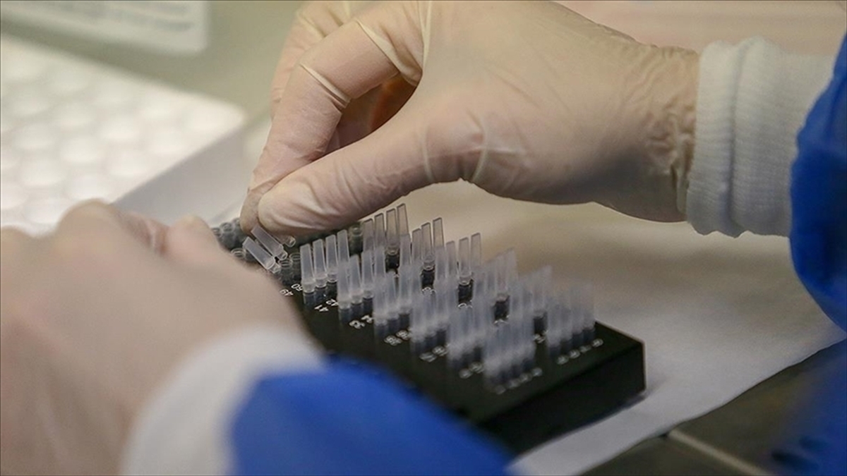 Abd'li Genetik Araştırma Şirketi, Yaklaşık 6,9 Milyon Kullanıcısının Bilgilerinin Çalındığını Açıkladı