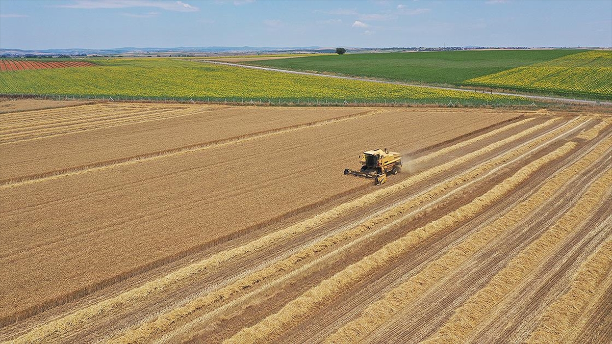 İşlenmeyen Tarım Arazilerini Üretime Kazandırmak İçin "kiralama" Yönteminde Rota Çizildi
