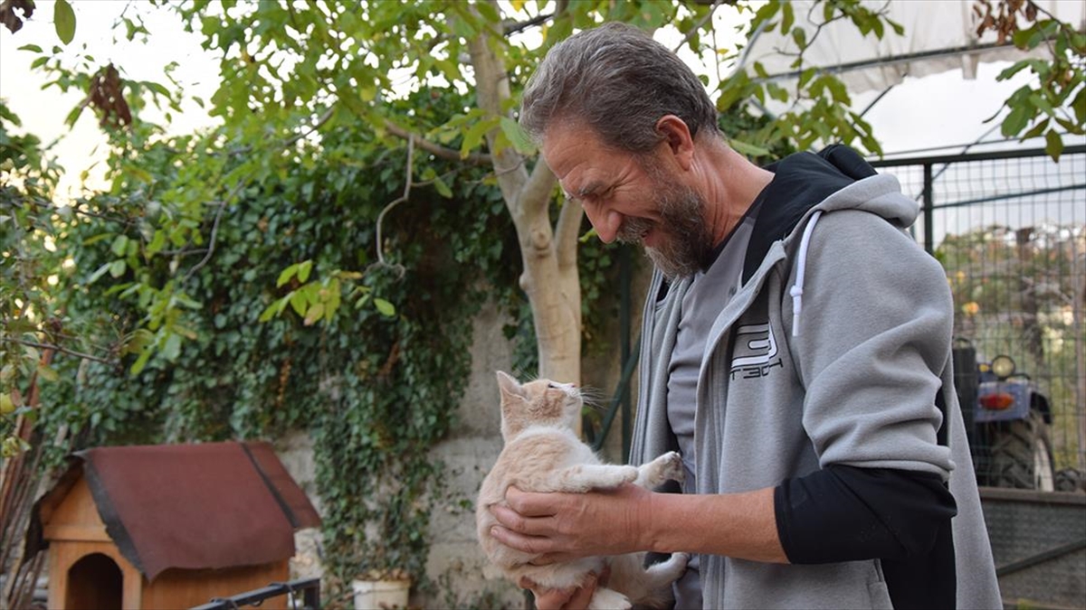 Bilecik'teki "emekliler Köyü"nde İkinci Baharını Eşi Ve Güvercinleriyle Geçiriyor