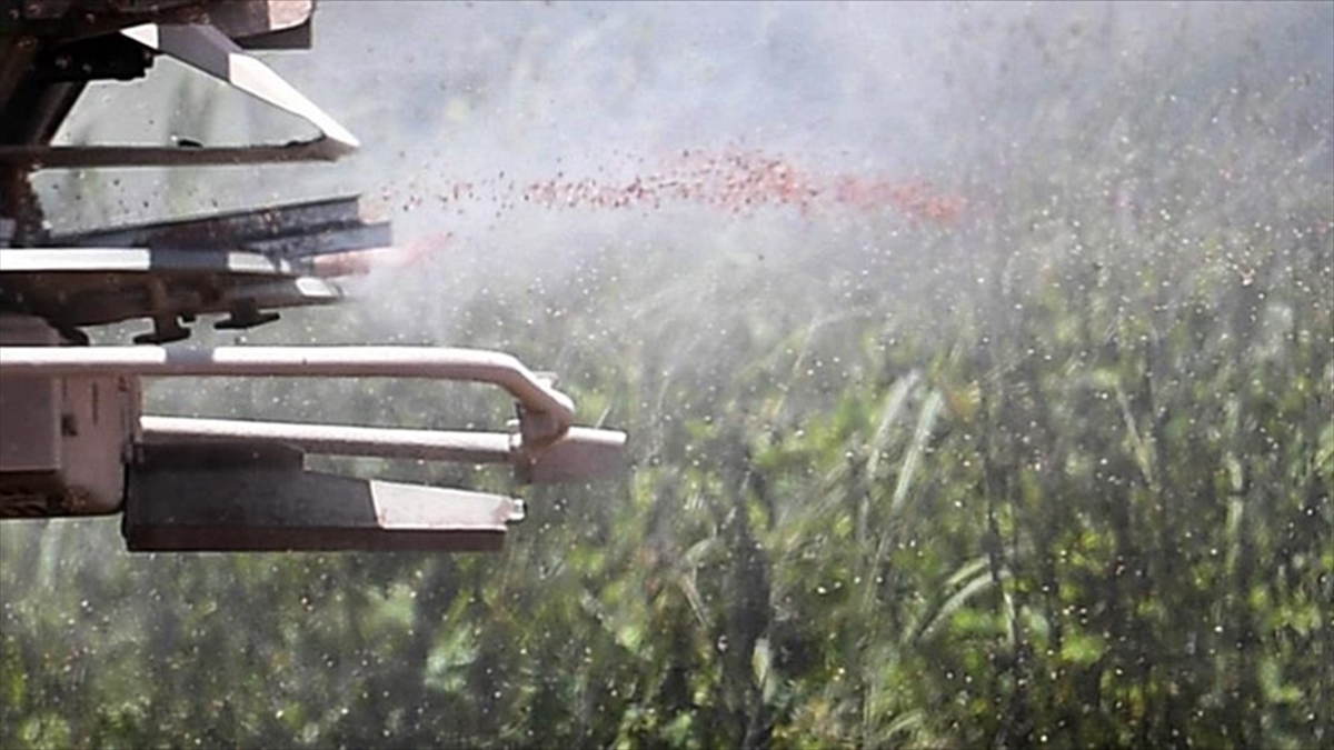 Tarımda Yoğun Kimyasal Kullanımı Toprağa Zarar Veriyor