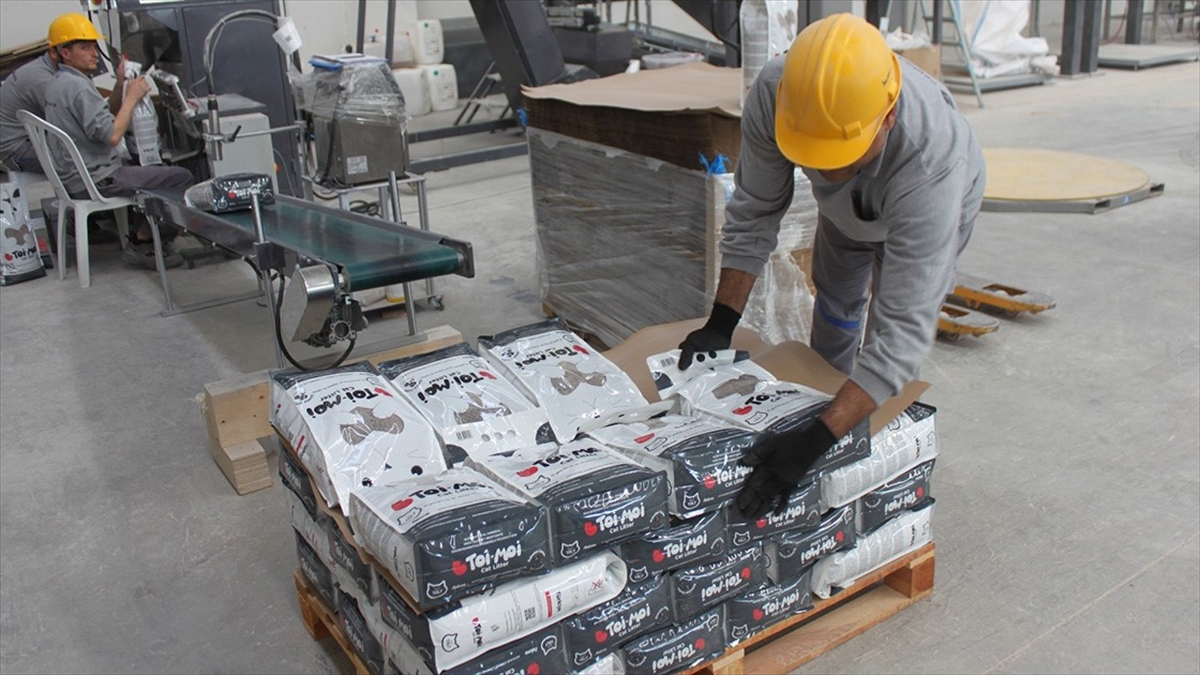 Çankırı'da Üretilen Kedi Kumu 30 Ülkeye İhraç Ediliyor