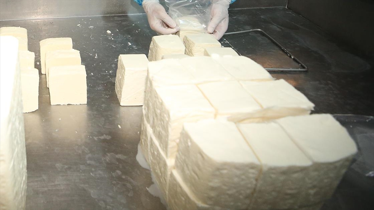 "ezine Peyniri" Ab'den Coğrafi İşaret Tescili Aldı