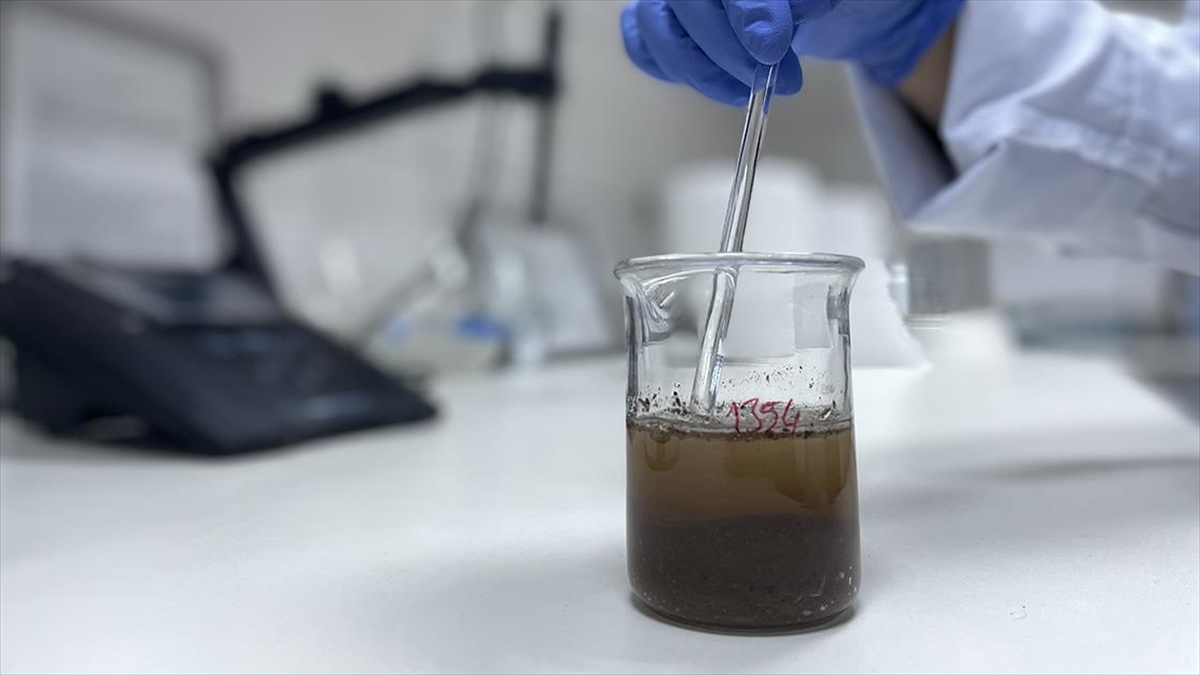 Antalya'daki Laboratuvarda Yapılan Toprak Analiziyle Ormanlar İçin Uygun Ağaçlar Belirleniyor