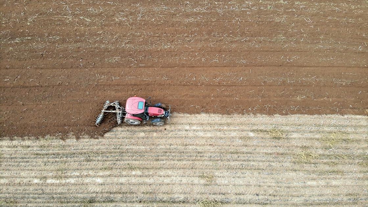 Ortalamanın Üzerine Çıkan Kasım Yağışları Trakyalı Çiftçiye Umut Oldu