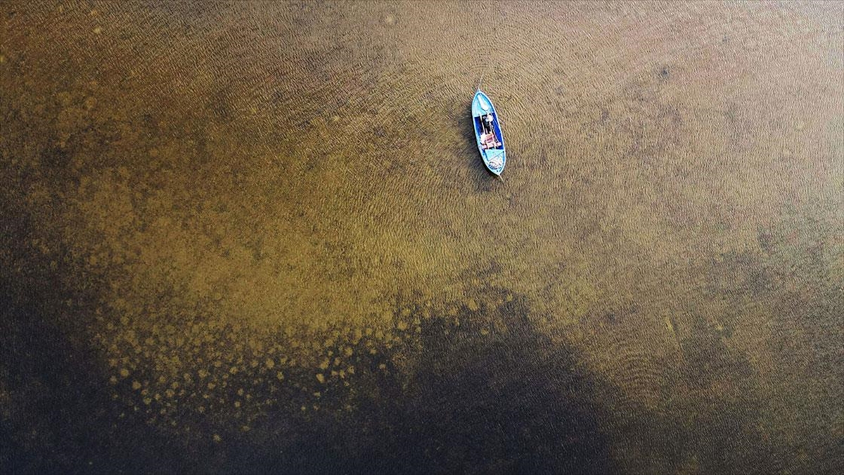Son Yağışlarla Su Seviyesi Yükselen Kuş Cenneti Bafa Gölü Eski Manzarasına Kavuştu