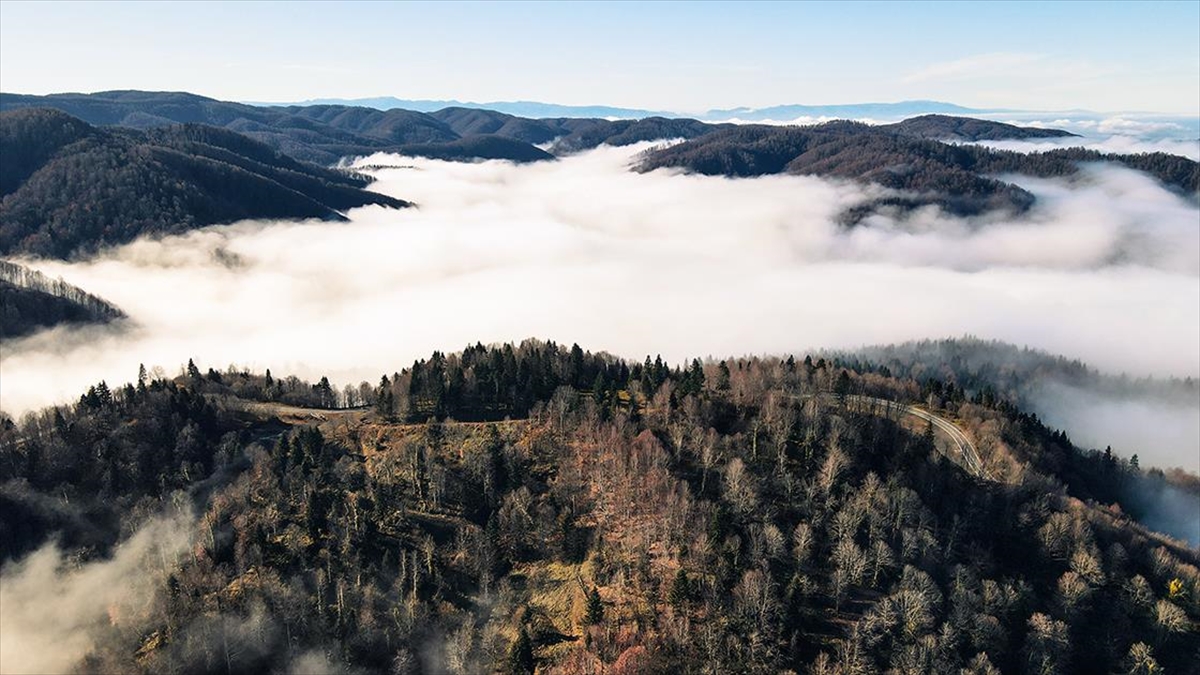 Çam Dağı'nda Renk Cümbüşüyle Bütünleşen Sis Bulutu Dronla Görüntülendi
