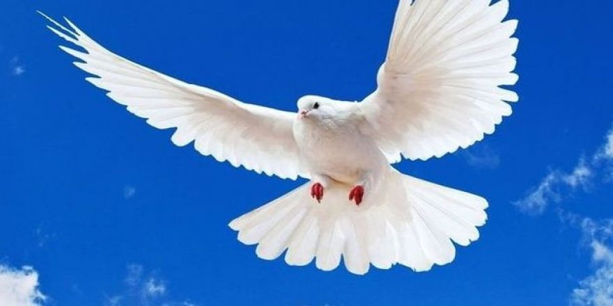 Milli Piyango ihalesi yapıldı