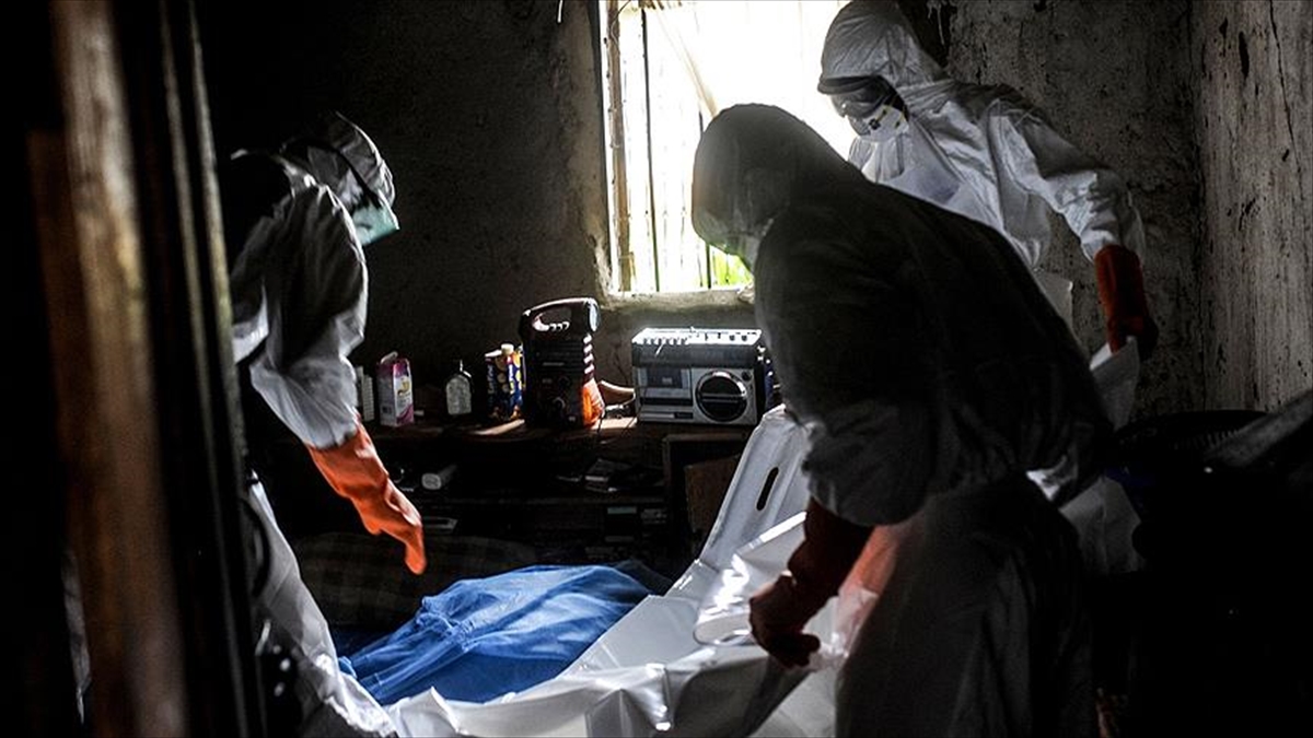 Dsö'den 5 Afrika Ülkesi İçin Şarbon Salgını Uyarısı