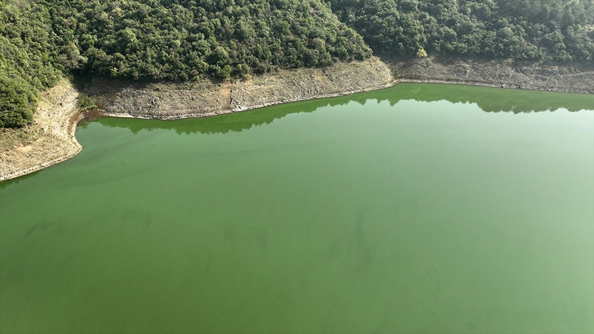 Türkiye'de 2022'de Su Kaynaklarından 19,2 Milyar Metreküp Su Çekildi
