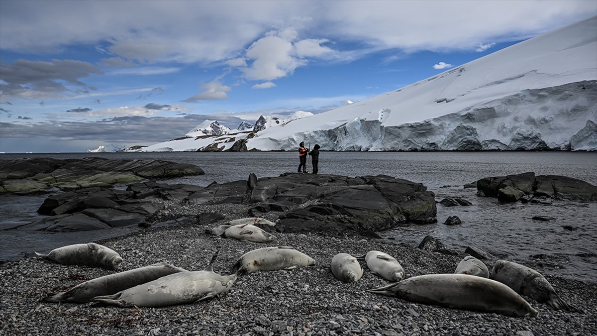 Kutup Meraklıları "tek Tıkla" Bölgeyle İlgili Bilimsel Bilgilere Erişebilecek