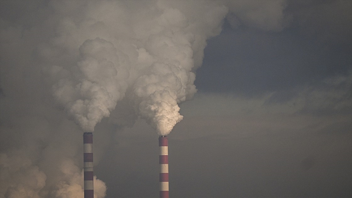 Iea: Küresel Kömür Talebi Bu Yıl Zirve Yapacak Ve 2026'da Düşüşe Geçecek