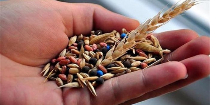 Geliştirilen Yeni Tohumlar Hububatta Verimliliği Artırdı