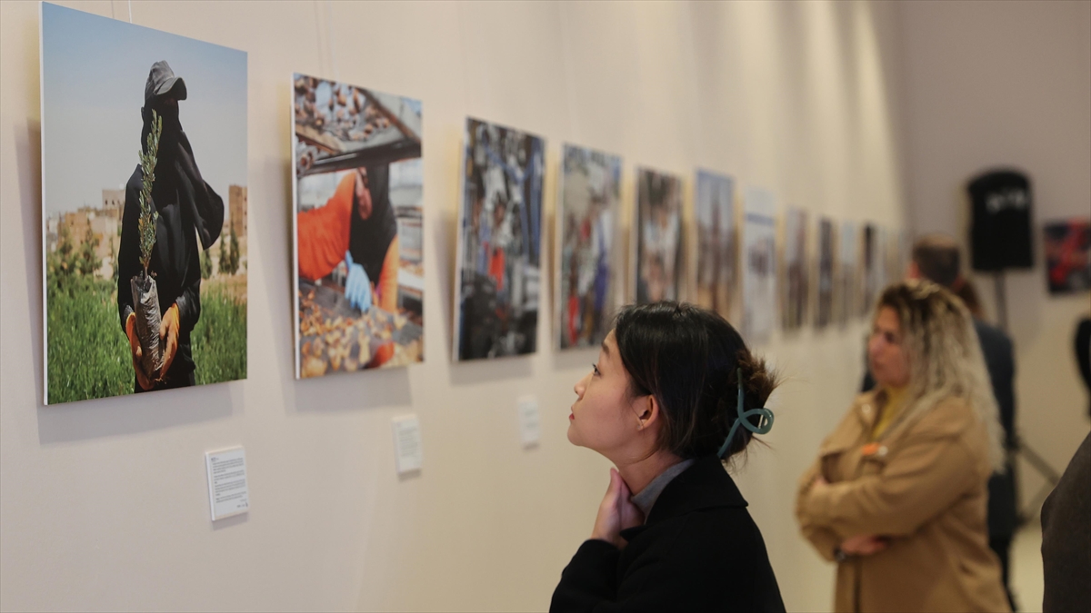 Gaziantep'te "birlikte Yeniden İnşa Ediyoruz: Bir İyileşme Yolculuğu" Konulu Fotoğraf Sergisi Açıldı