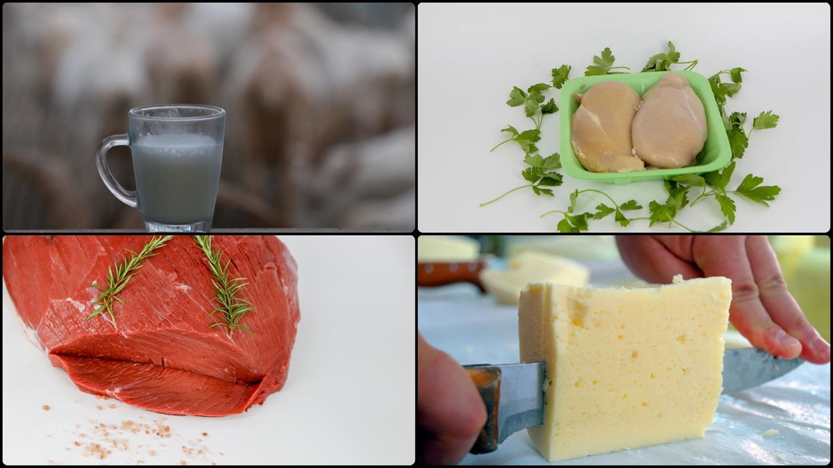 Süt, Et Ve Gıda Sanayicilerinin 2024'te Önceliği "güvenli Gıda Politikaları" Olacak