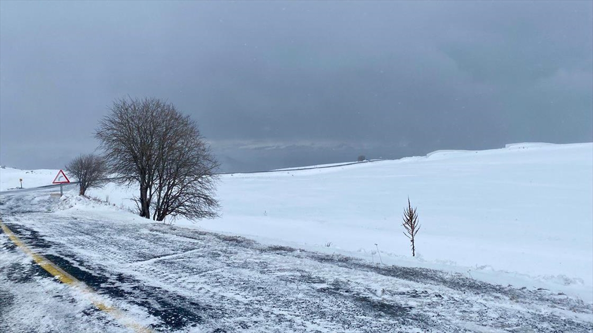 Ardahan Ve Kars'ta Kar Etkili Oluyor