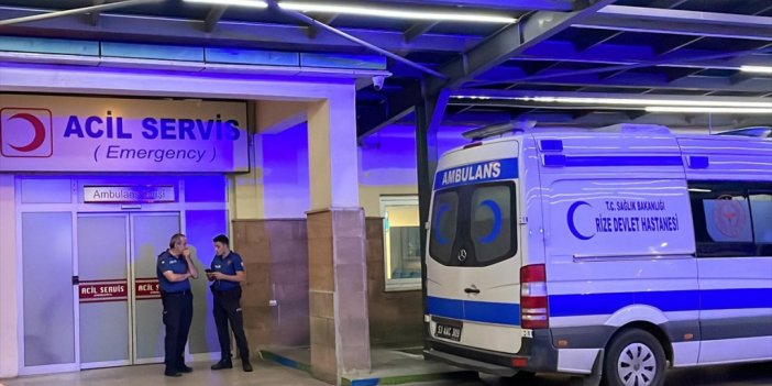 Köpeklerin Saldırdığı 70 Yaşındaki Kadın Yaralandı