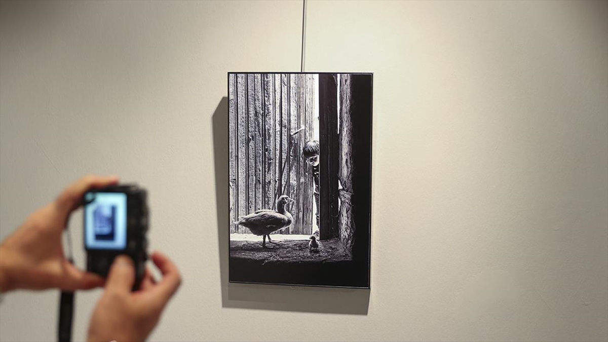 "kazların Senfonisi" Adlı Sergi Ankara'da Açıldı