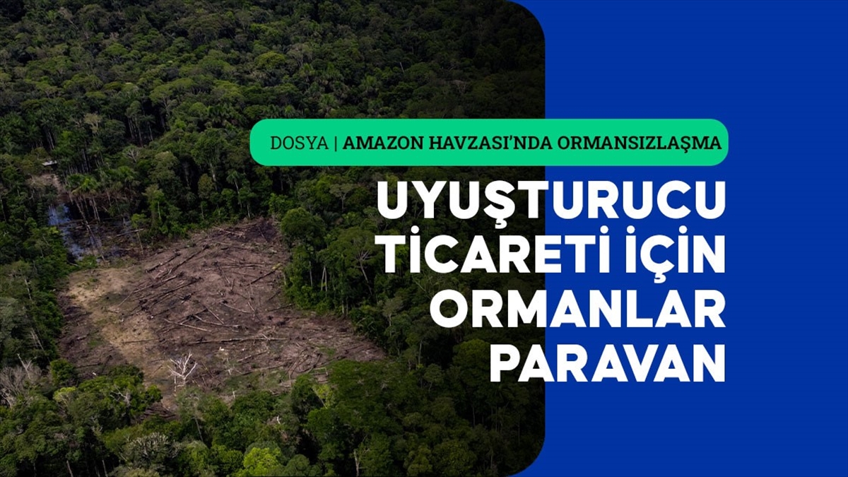Amazon Havzası'ndaki Yasa Dışı Faaliyetler Ormansızlaşmayı Artırıyor