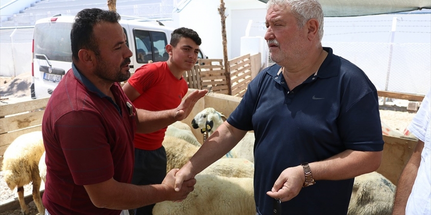Kurban Pazarlıkları Devam Ediyor