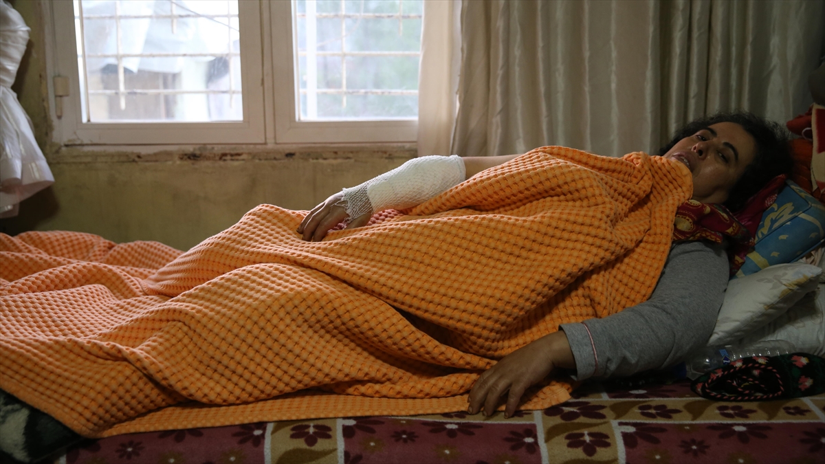 Hatay'da Yasaklı Irk 3 Köpeğin Saldırısına Uğrayan Kadın Yaralandı