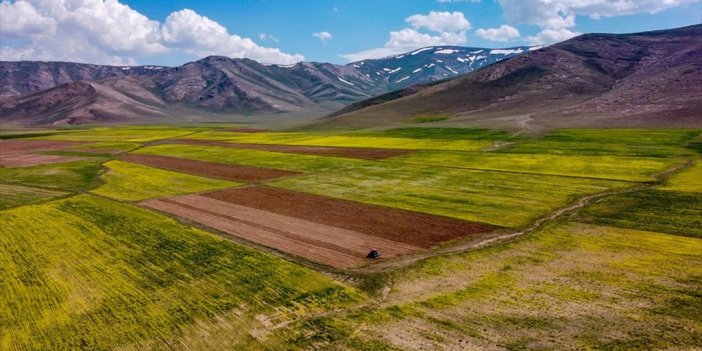 Bitkisel Üretim Bu Yıl Tahıllar Ve Diğer Bitkisel Ürünlerde Yüzde 10,3 Arttı