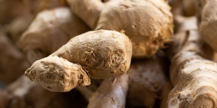 "zencefil"in Alzheimer Ve Kanser Hastalıklarına Karşı Potansiyeli Araştırıldı