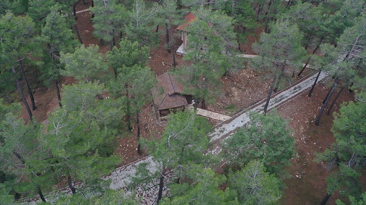 Bursa'nın Dağ İlçesindeki Doğal Yaşam Merkezi Yeni Yılı Tam Dolulukla Karşılayacak