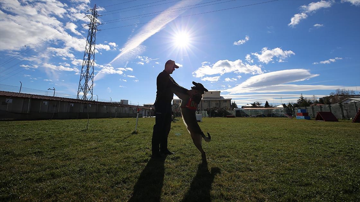 Uyuşturucu Tacirlerinin Korkulu Rüyası: "meke"