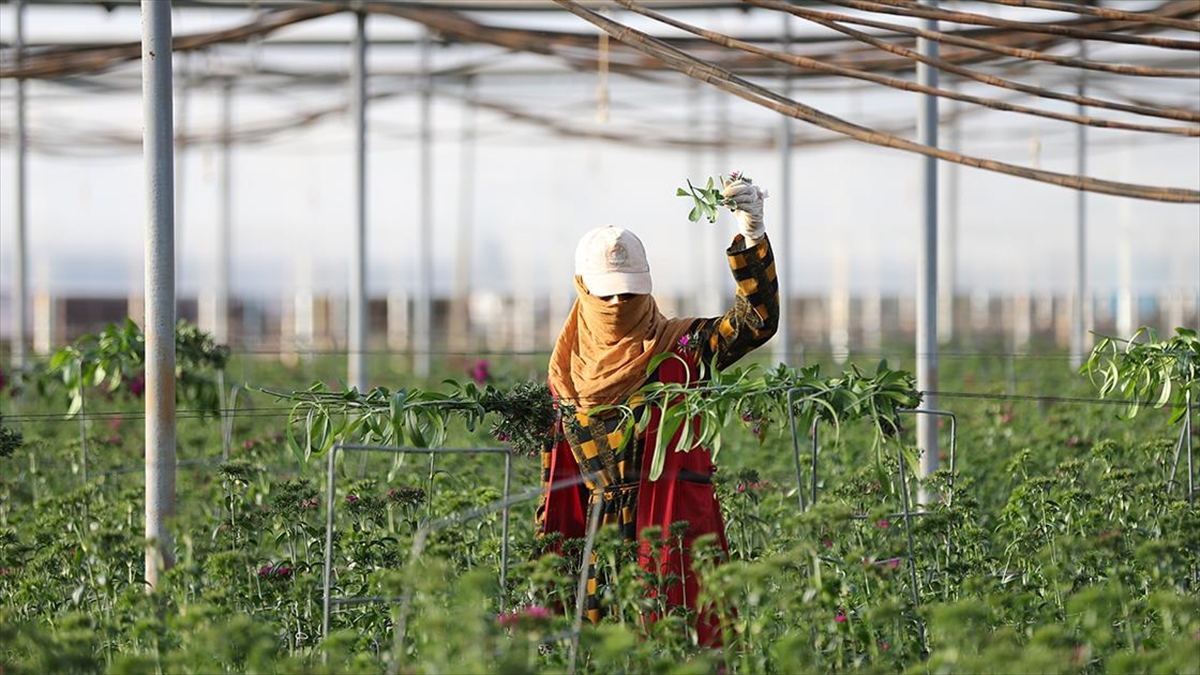 Antalya'da Çiftçiler Atb'nin Yazılımıyla Tarım Alanlarındaki Karbon Ayak İzini Hesaplıyor