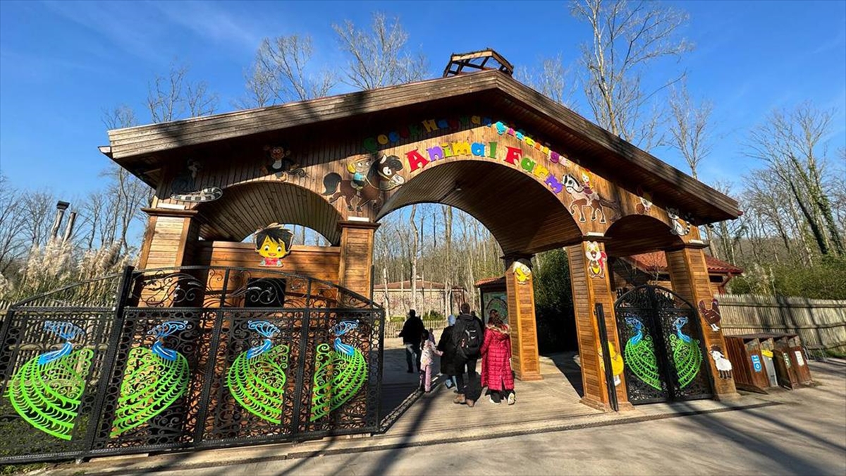 Avrupa'nın En Büyük Doğal Yaşam Parkı Ormanya, 2023'te 5,2 Milyon Ziyaretçi Çekti