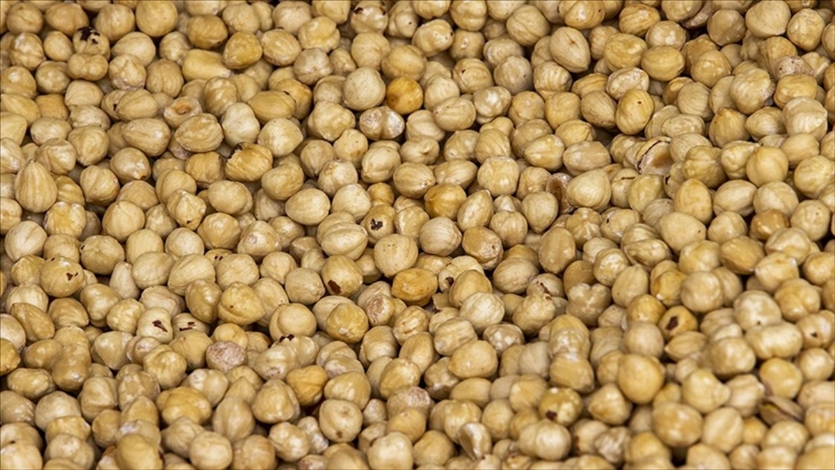 Türkiye Fındık İhracatından 1 Milyar 864 Milyon Doların Üzerinde Gelir Sağladı