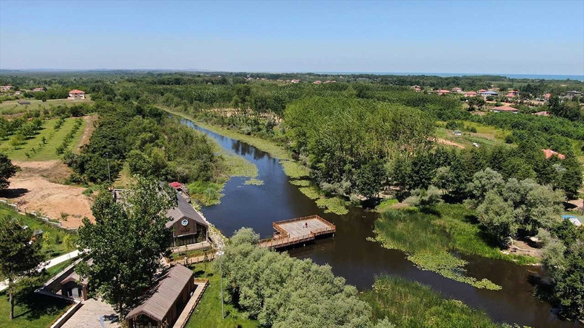 Acarlar Longozu Geçen Yıl 140 Binden Fazla Ziyaretçiyi Ağırladı