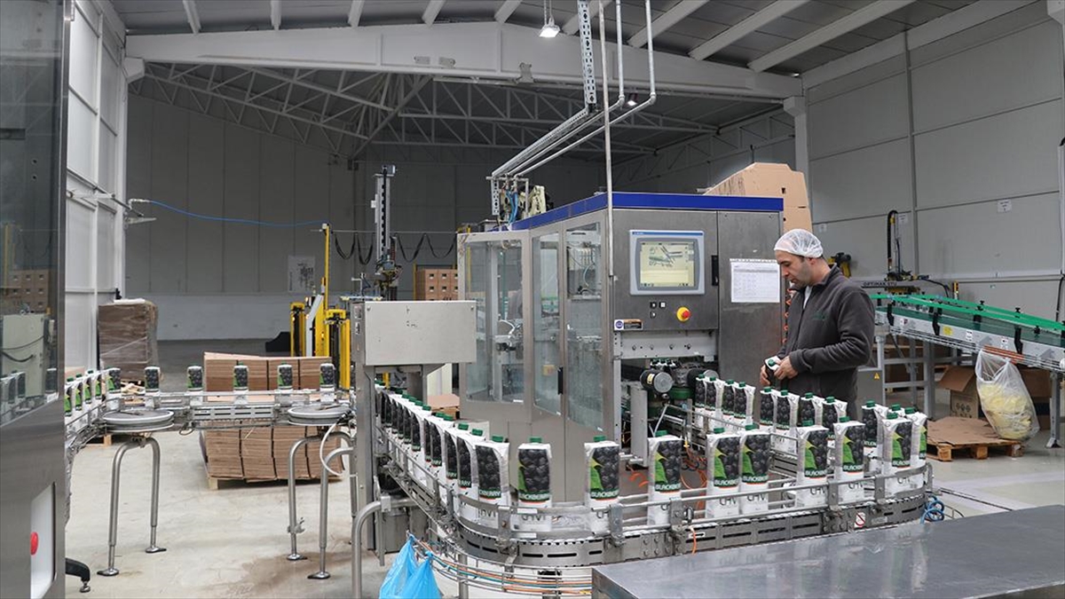 Batman'da Üretilen Meyve Suları 30 Ülkeye İhraç Ediliyor