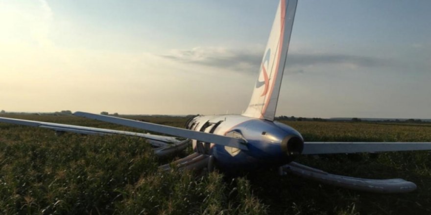 Rusya'da Kuş Sürüsüne Çarpan Yolcu Uçağı Tarlaya Acil İniş Yaptı
