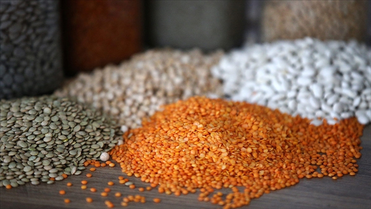 Bu Yıl Yağlı Tohum Üretiminde Artış Öngörülüyor