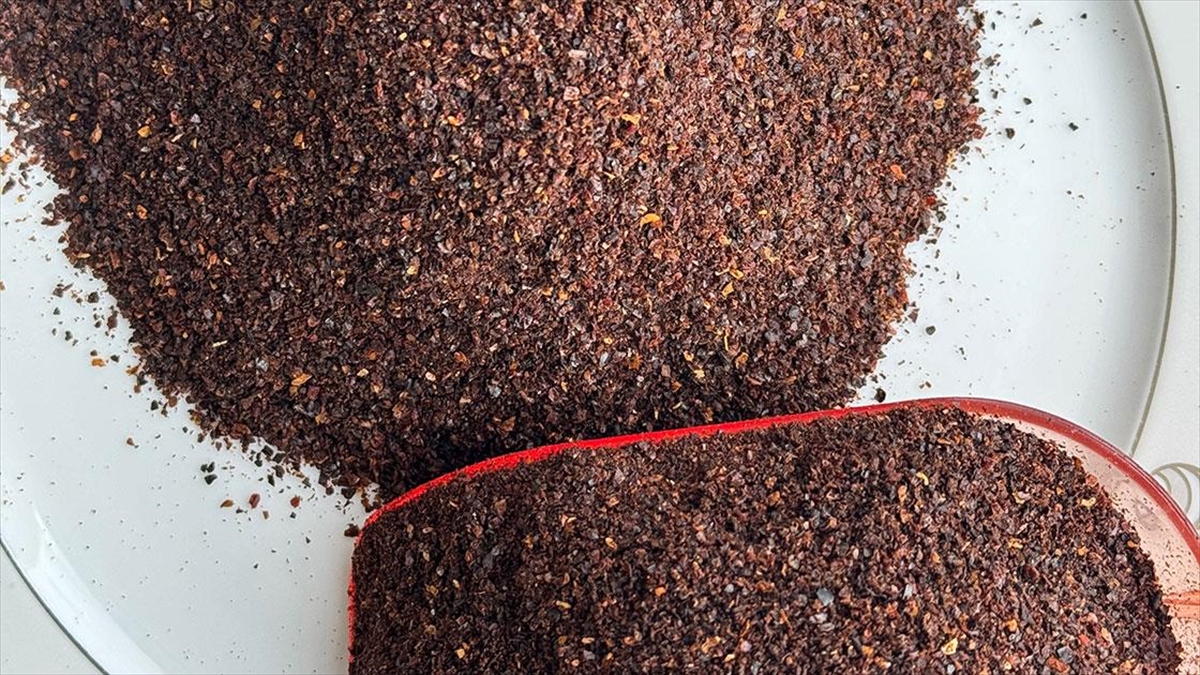 Anadolu'dan Dünya Mutfaklarına 12,2 Milyon Dolarlık Pul Biber İhraç Edildi